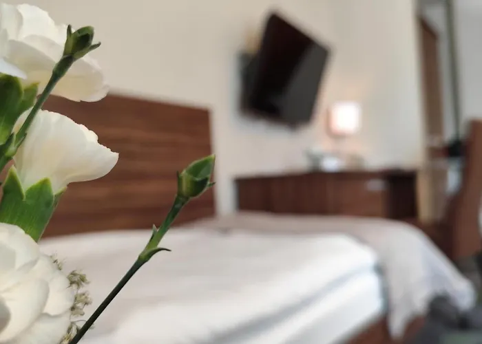 Taurus Hotel apartamentowy Ładna